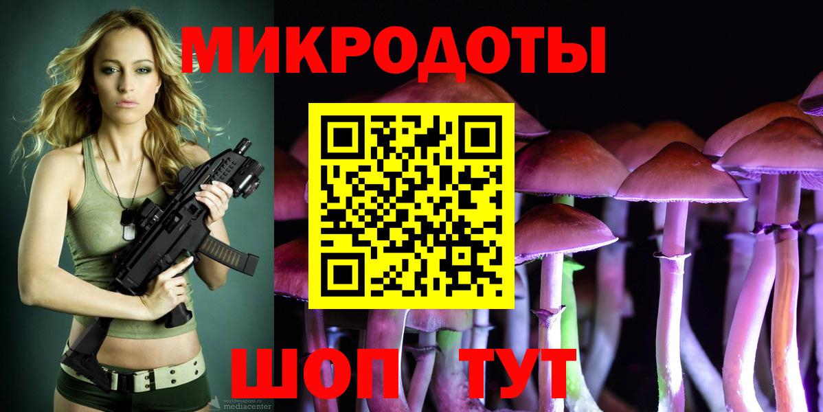 Псилоцибиновые грибы Psilocybine cubensis Татарск